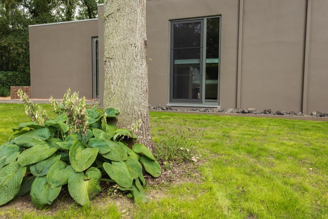 Bed & Breakfast Nummer5 Heusden-Zolder Екстериор снимка